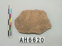 藏品(灰褐色夾砂陶片)的圖片